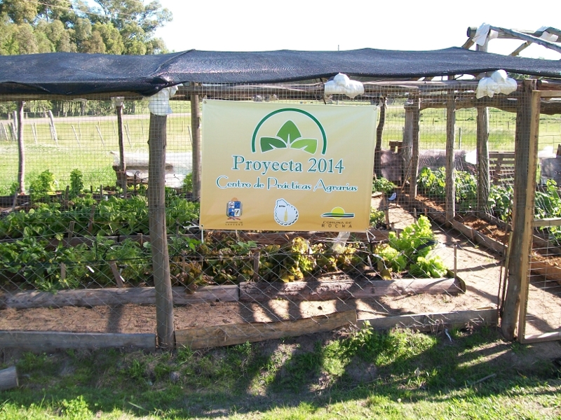 UTU lascano centro practicas agraria